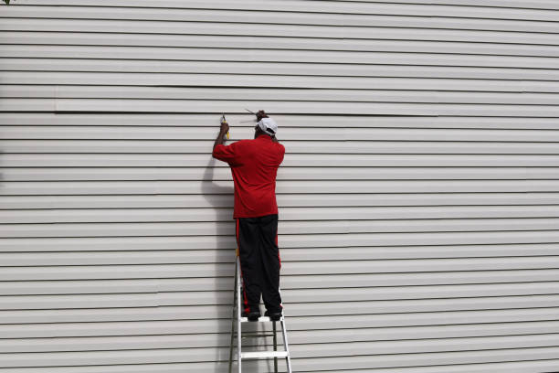 Best Siding Removal and Disposal  in Lorado Springs, CO