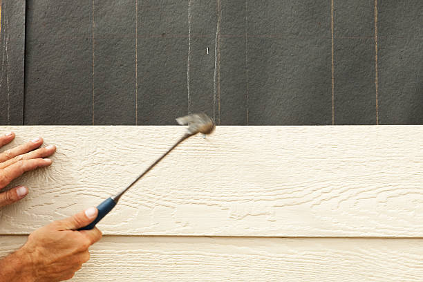 Best Custom Siding Design  in Lorado Springs, CO